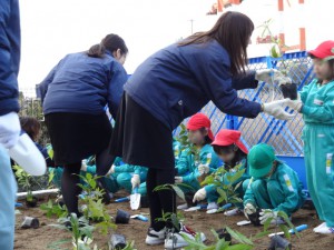 2016年2月24日　植樹祭